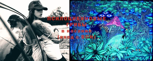 мяу мяу кристалл Богородицк