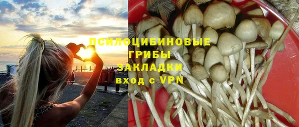 твердый Богданович