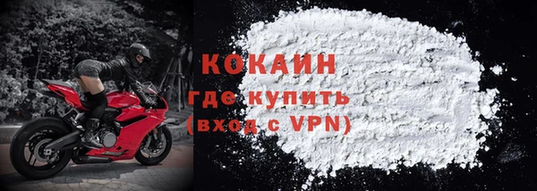 твердый Богданович