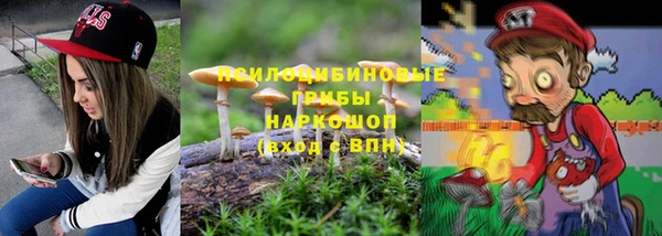 apvp Богородск