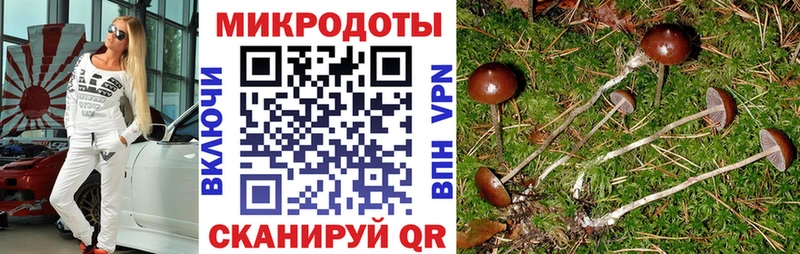 Псилоцибиновые грибы ЛСД  Острогожск 