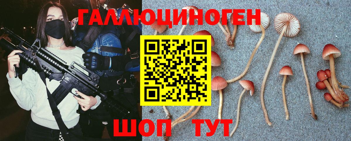Острогожск  Псилоцибиновые грибы мухоморы  Галлюциногенные грибы Psilocybine cubensis  Вход с VPN 
