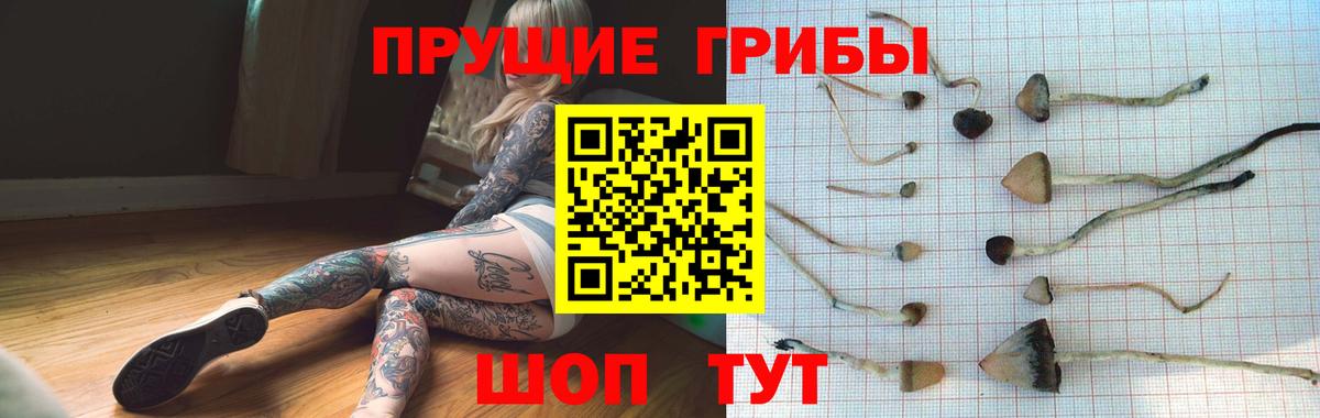 Галлюциногенные грибы мицелий Острогожск